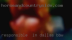Responsible  in Dallas BBW life, respectful, smart.